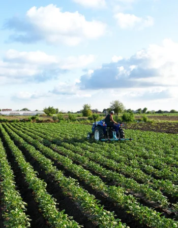 Agriculture and Farming