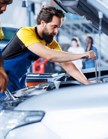 Automotive and Automobile Dealers