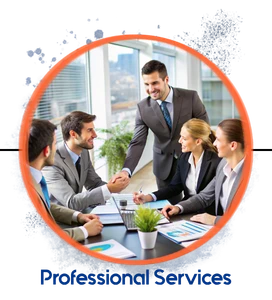 Professional Services