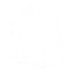 Shopify Development