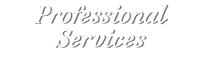 Professional Services