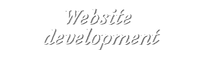 website development